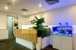 Sbf Center (D1), Office #570033911